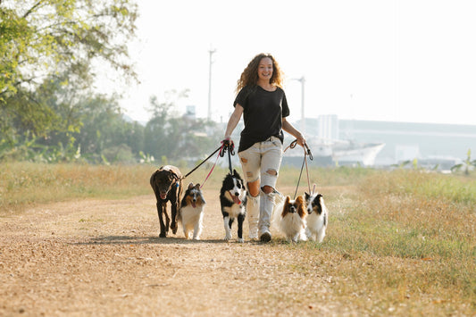 Best Self Defense Keychains for Dog Walkers | Dog Walking Safety